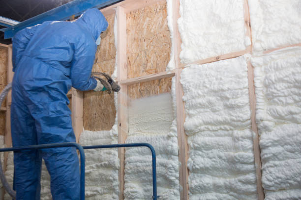  Breckinridge Center, KY Insulation Removal & Installation Pros